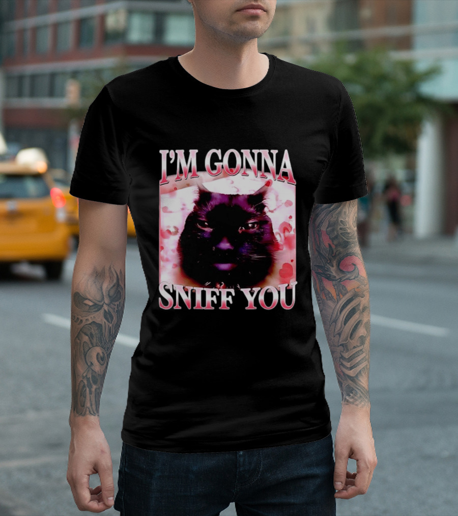 I'm Gonna Sniff You Cat Meme Valentine Aesthetic T-Shirt