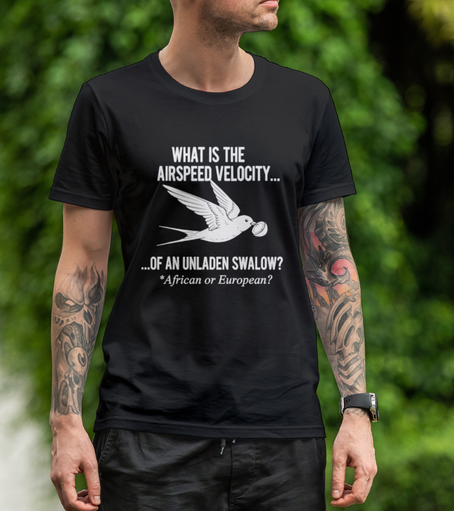 What Is The Airspeed Velocity Of An Unladen Swallow African Or European T-Shirt