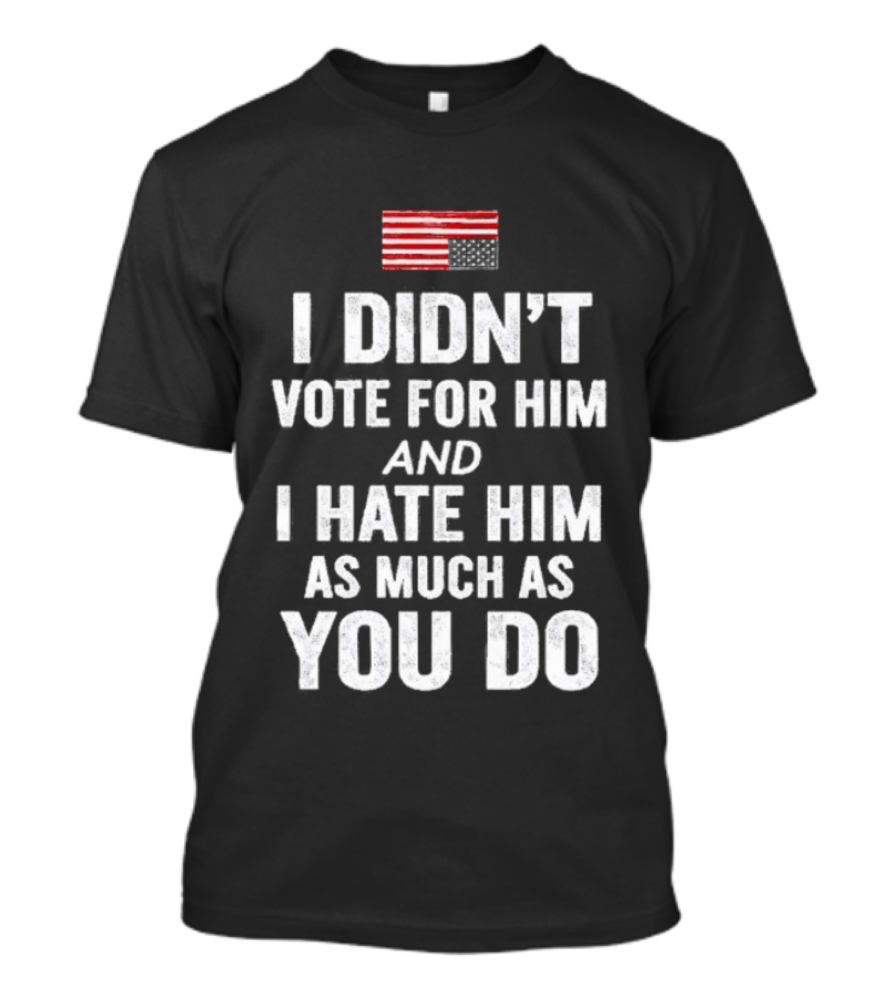I Didn't Vote For Him And I Hate Him As Much As You Do USA Flag T-Shirt