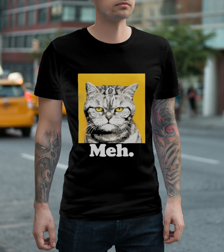 90 Day The Single Life Meh Cat T-Shirt