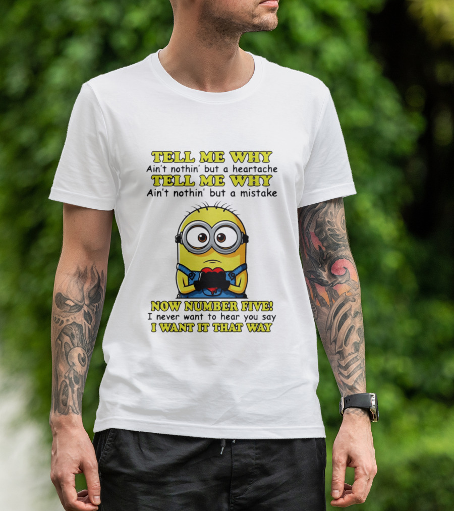 Tell Me Why Ain't Nothin' But A Heartache Mistake Minion I Want It That Way Number Five T-Shirt