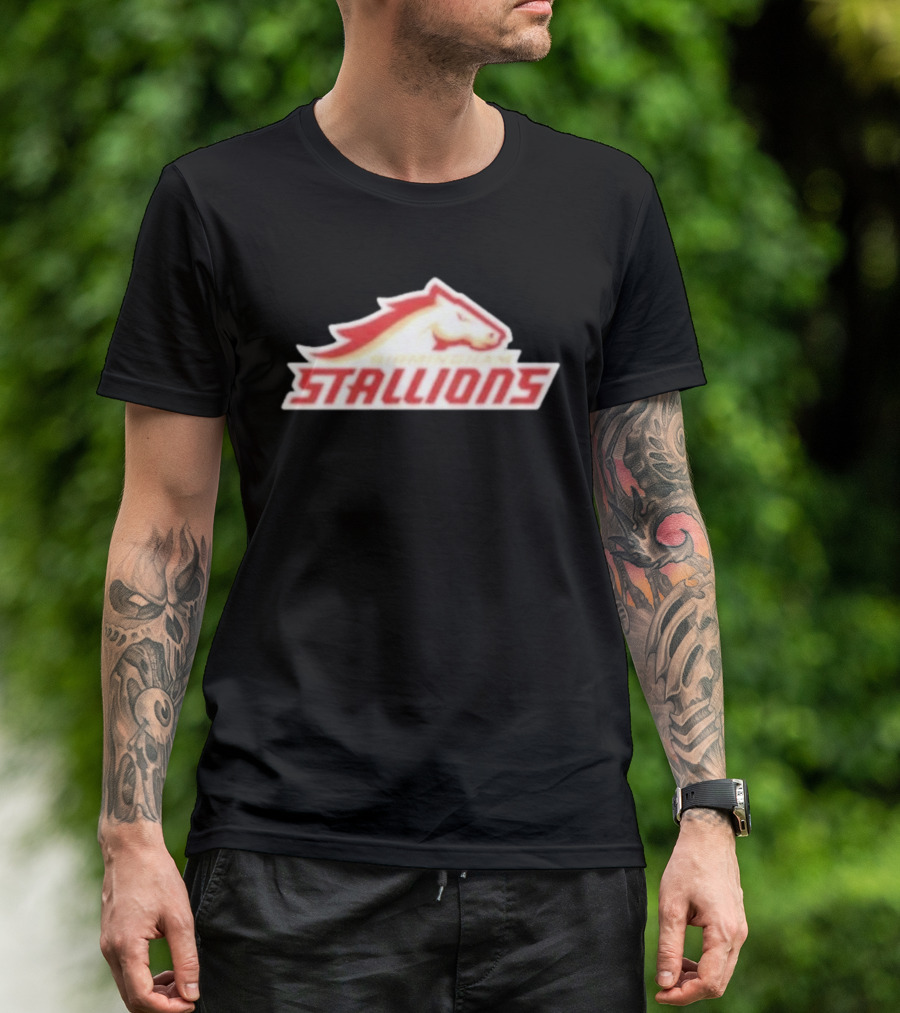Mintzy Birmingham Stallions Team T-Shirt