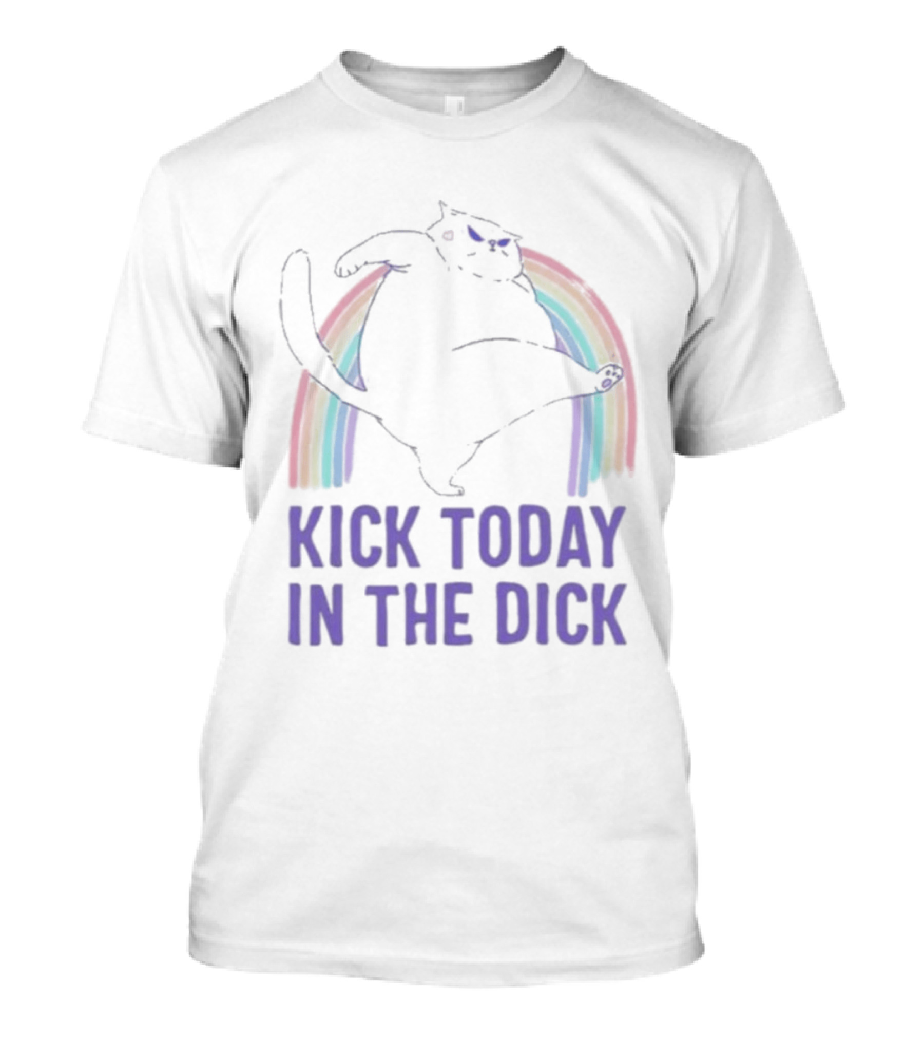Kick Today In The Dick Rainbow Cat T-Shirt
