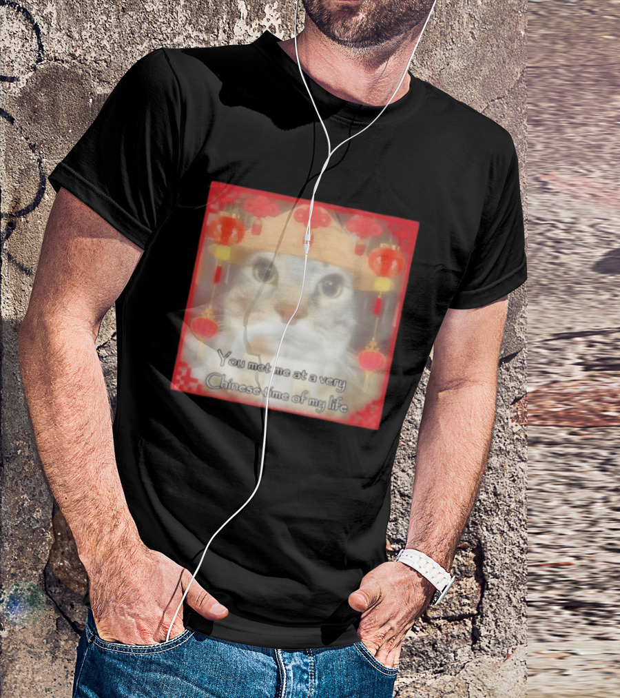 You Met Me At A Very Chinese Time Of My Life Cat Lanterns Hat T-Shirt