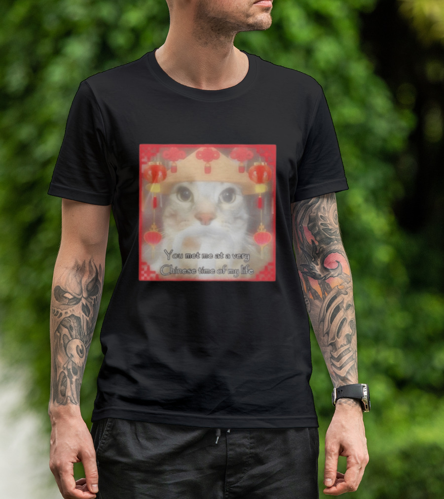 You Met Me At A Very Chinese Time Of My Life Cat Lanterns Hat T-Shirt