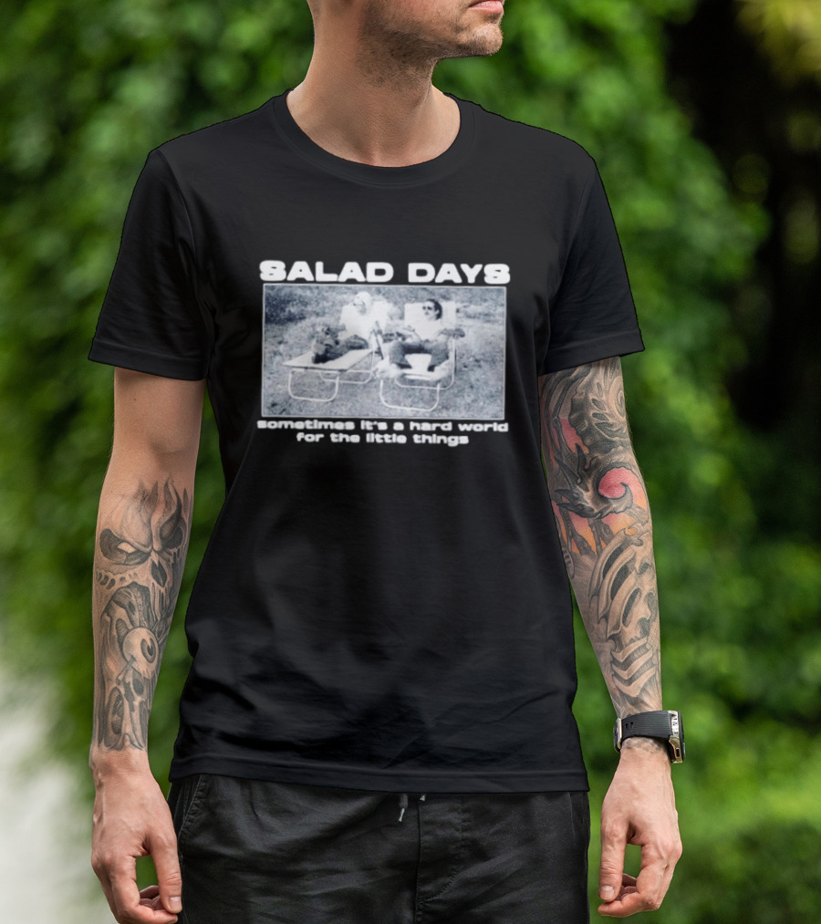 SALAD DAYS Sometimes It's A Hard World For The Little Things Vintage Lounge Chair Image T-Shirt