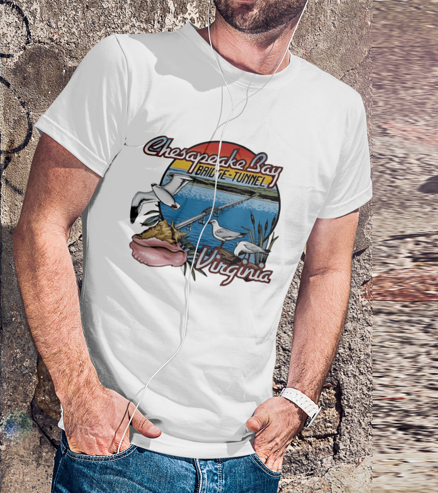 Chesapeake Bay Bridge Tunnel Virginia Seagulls Sunset Scene T-Shirt