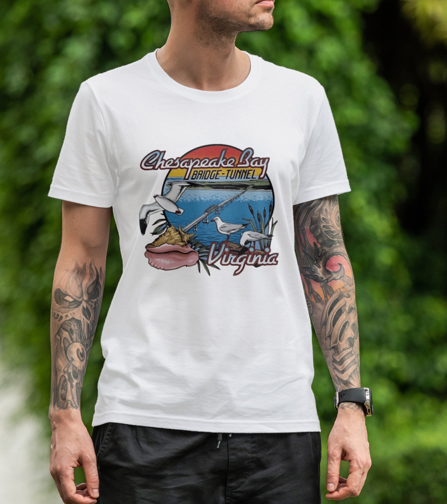 Chesapeake Bay Bridge Tunnel Virginia Seagulls Sunset Scene T-Shirt