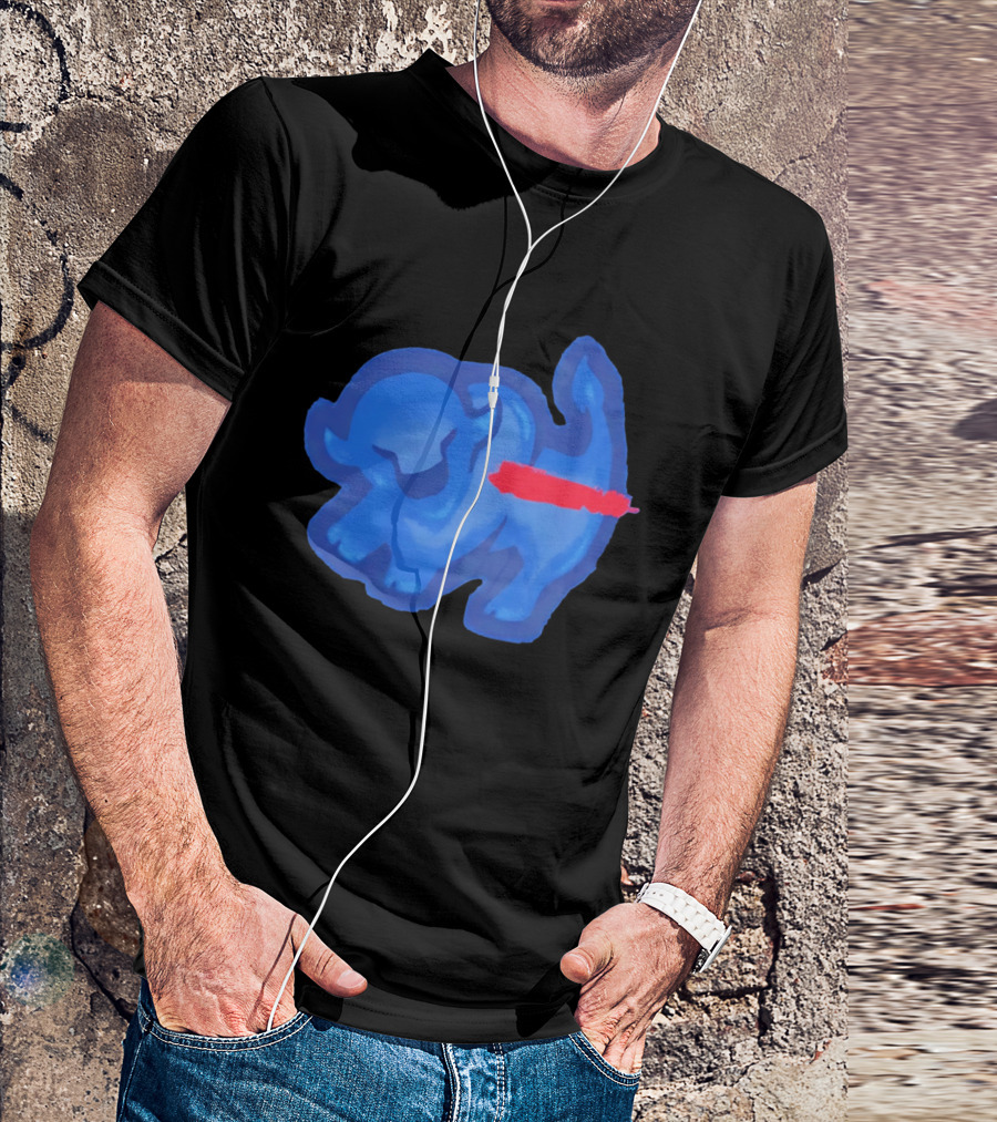 Bison King Buffalo Bills 2026 Football Team Spirit T-Shirt