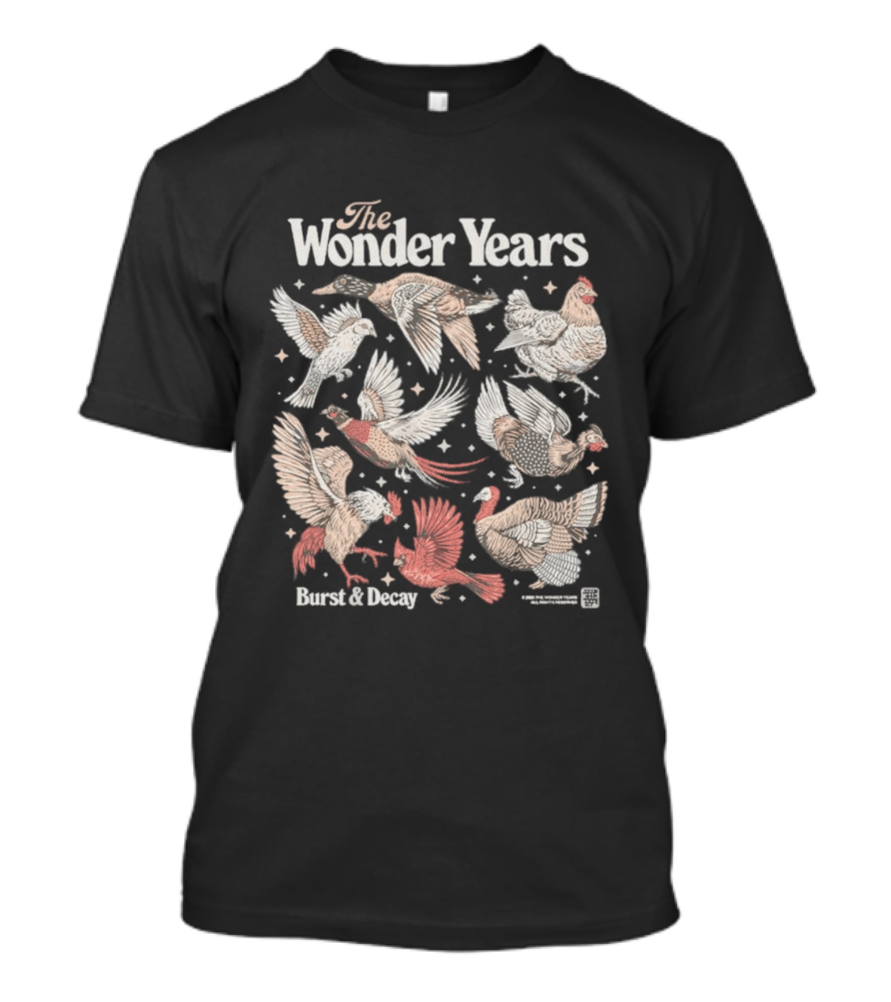 The Wonder Years Burst Decay Birds Vintage Aesthetic T-Shirt