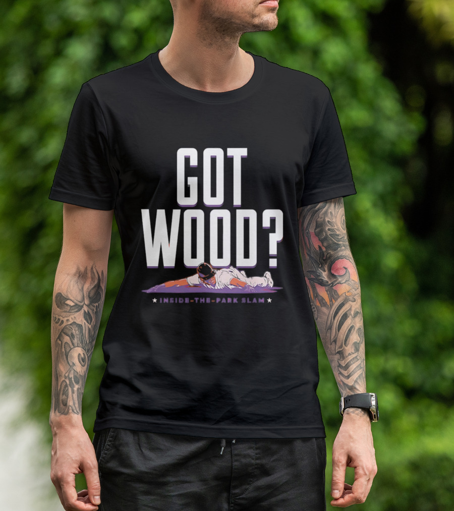 Washington Nationals Baseball Got Wood Inside The Park Slam T-Shirt