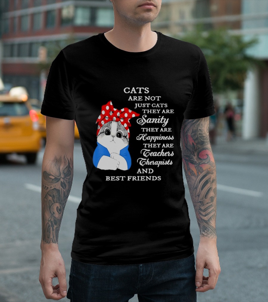 Cats Are Not Just Cats They Are Sanity Happiness Teachers Therapists Best Friends T-Shirt