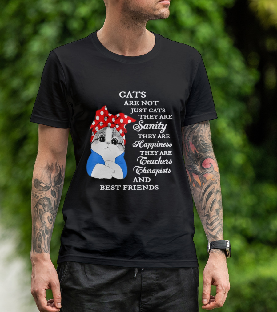 Cats Are Not Just Cats They Are Sanity Happiness Teachers Therapists Best Friends T-Shirt