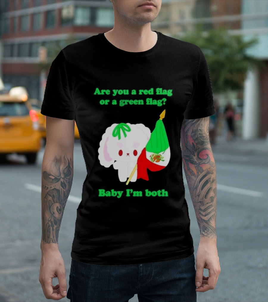 Nonomochi Mexico Flag Are You A Red Flag Or A Green Flag Cute Bunny Holding Mexican Flag T-Shirt