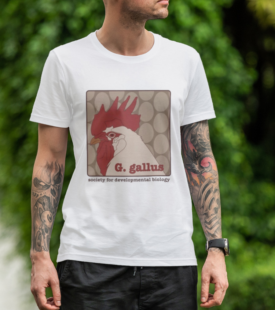 G Gallus Society For Developmental Biology Chicken Rooster Oval T-Shirt