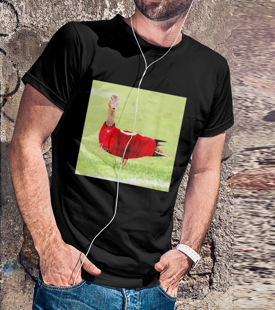 Tampa Bay Buccaneers Duck 2026 Football Fan T-Shirt