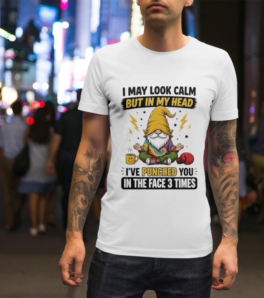 Gnome I May Look Calm But In My Head I've Punched You In The Face 3 Times T-Shirt