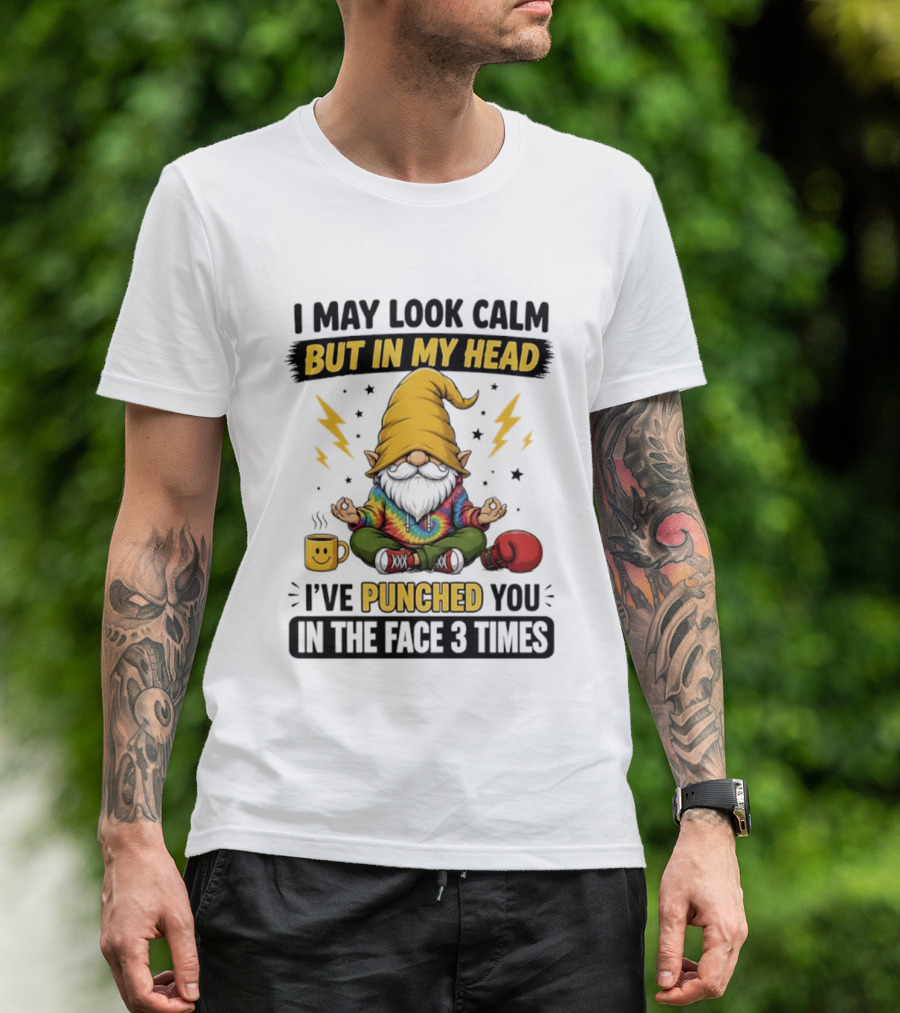 Gnome I May Look Calm But In My Head I've Punched You In The Face 3 Times T-Shirt