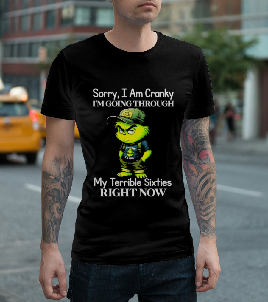 Sorry I Am Cranky I'm Going Through My Terrible Sixties Right Now T-Shirt