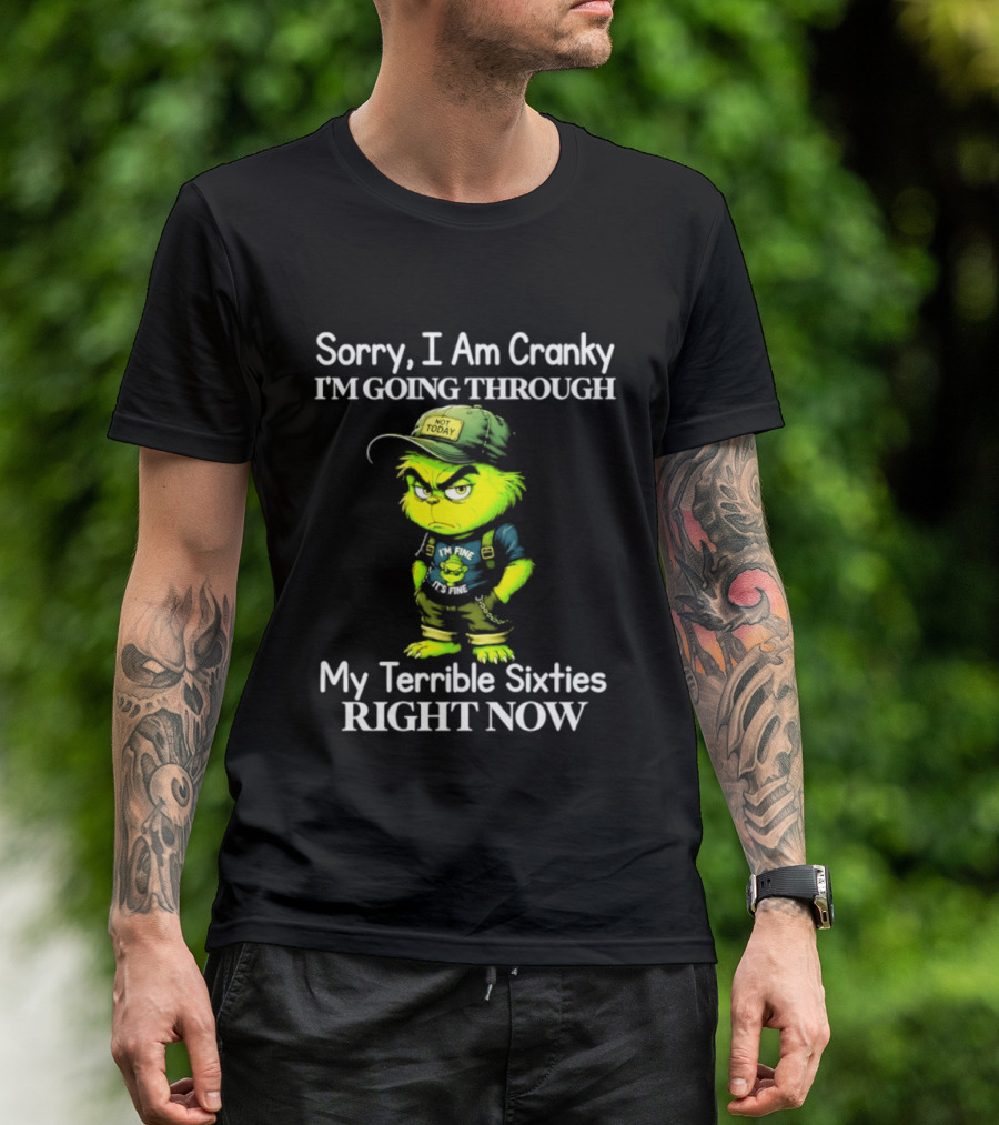 Sorry I Am Cranky I'm Going Through My Terrible Sixties Right Now T-Shirt