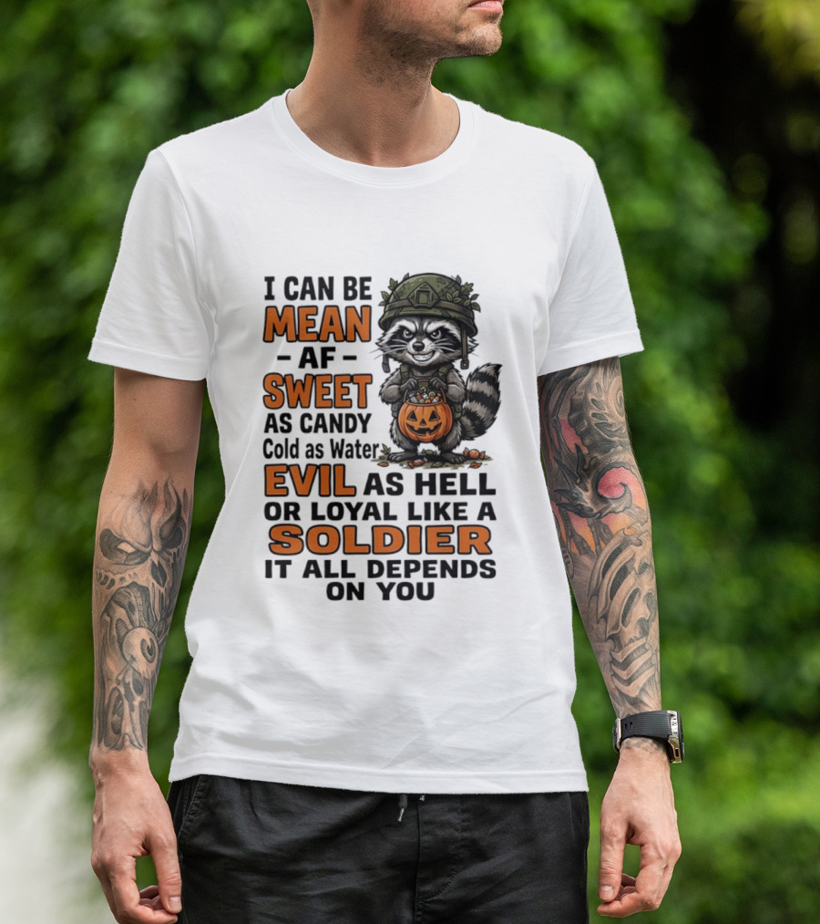 Raccoon I Can Be Mean AF Sweet As Candy Cold As Water Evil As Hell Or Loyal Like A Soldier It All Depends On You T-Shirt