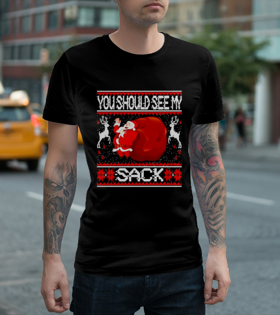 You Should See My Sack Santa Claus Ugly Christmas Reindeer Snowflakes T-Shirt