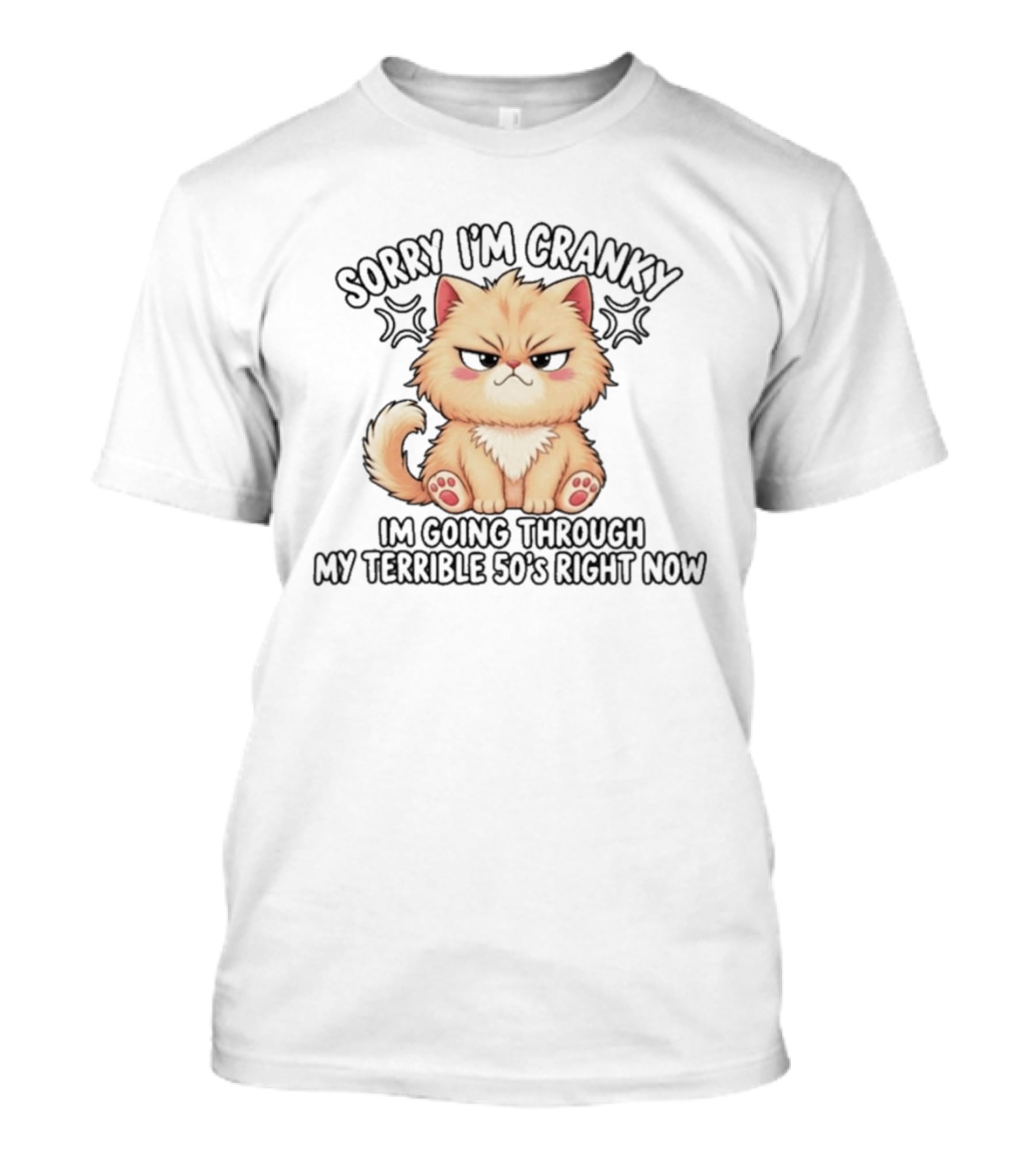 Sorry I'm Cranky I'm Going Through My Terrible 50's Right Now Fluffy Cat T-Shirt