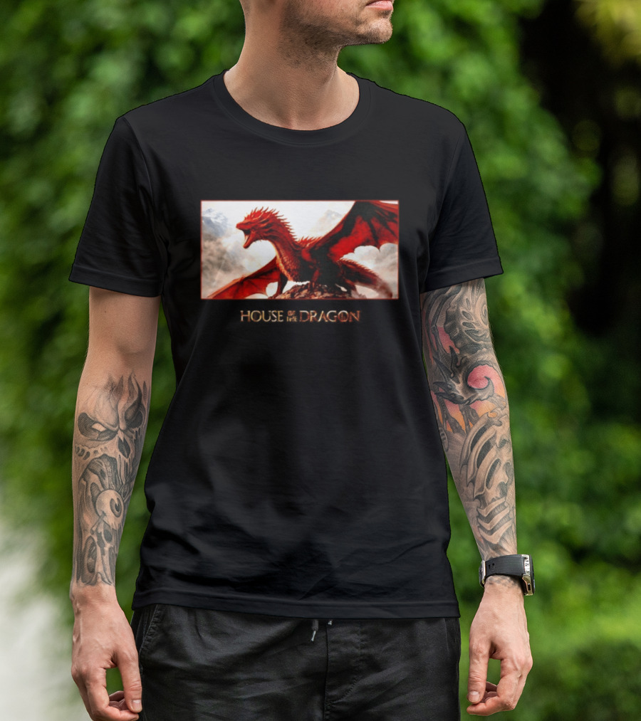 House Of The Dragon Caraxes War Memorial Mountains Scene T-Shirt