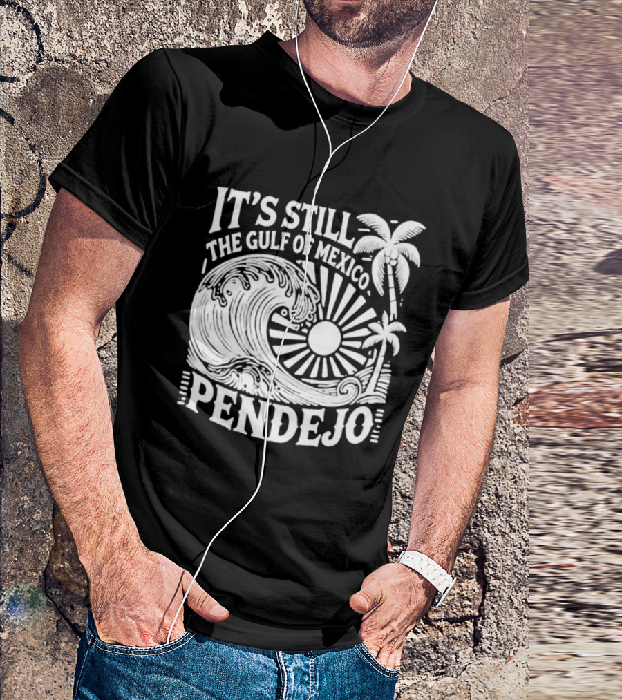 It's Still The Gulf Of Mexico Pendejo Wave Palm Sun T-Shirt