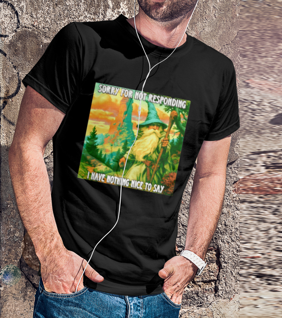 Sorry For Not Responding I Have Nothing Nice To Say Wizard Scene T-Shirt