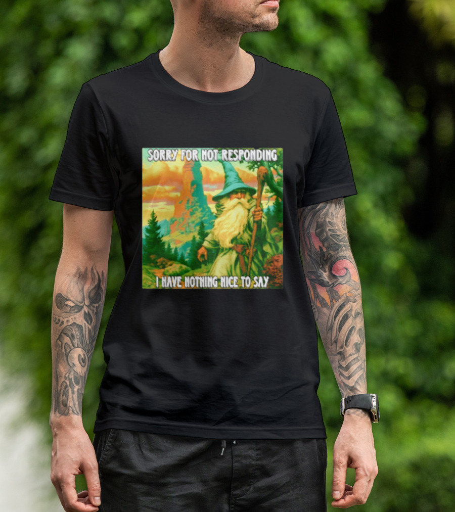Sorry For Not Responding I Have Nothing Nice To Say Wizard Scene T-Shirt