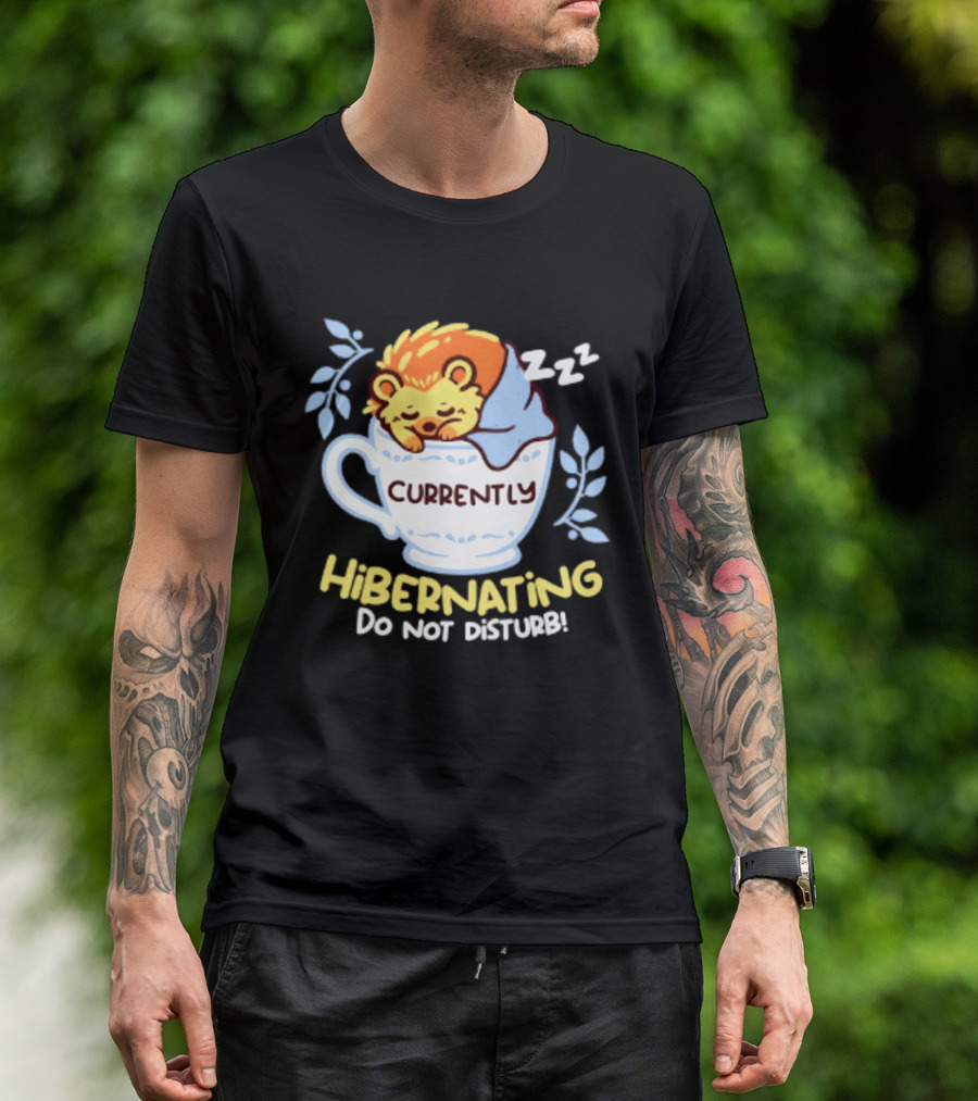 Currently Hibernating Do Not Disturb Hedgehog In Teacup Python T-Shirt
