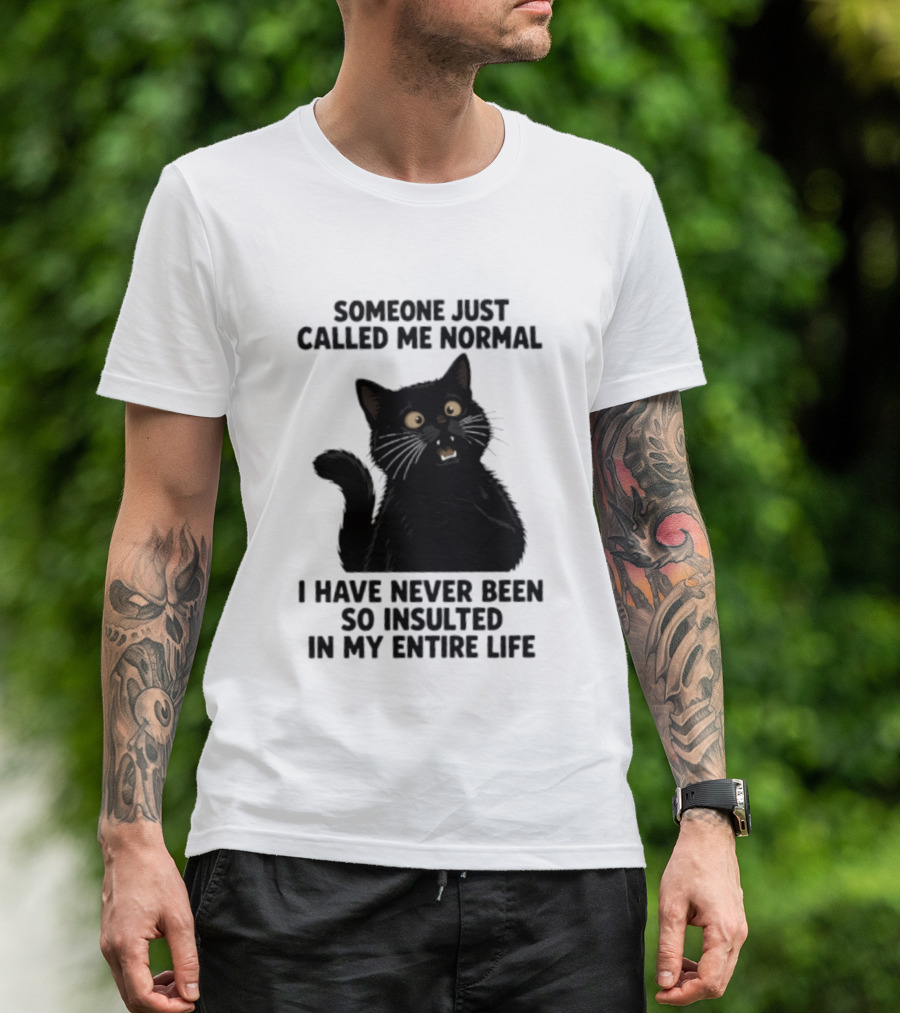 Someone Just Called Me Normal Black Cat Humor Never Been So Insulted In My Entire Life T-Shirt