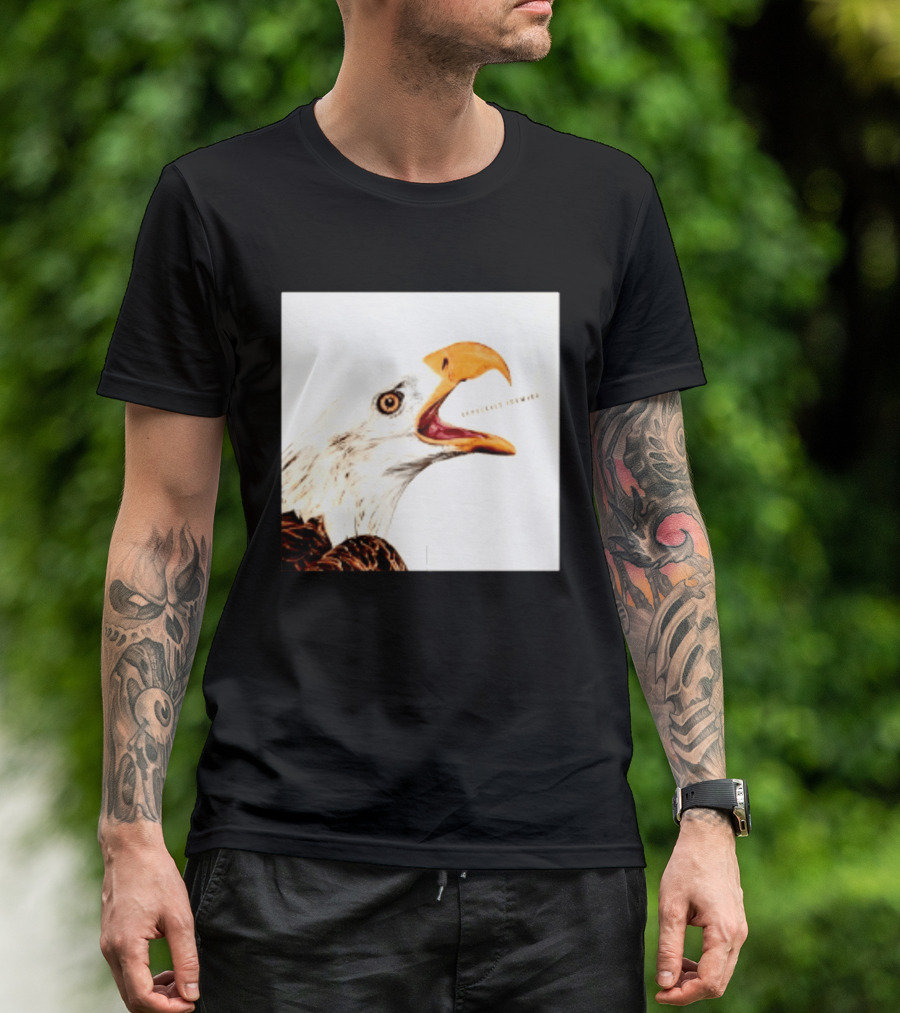 Democracy Forward Bald Eagle Patriotic T-Shirt