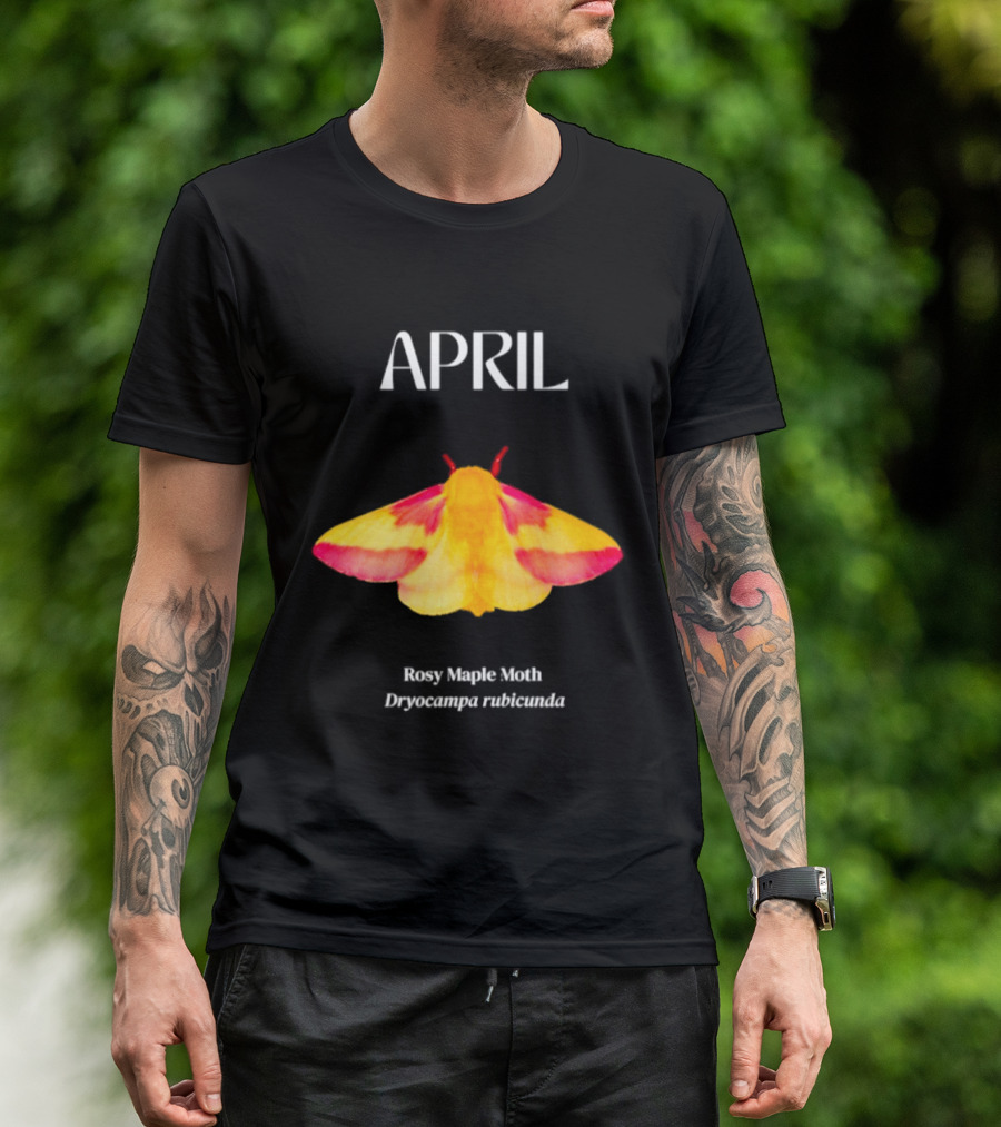 April Rosy Maple Moth Dryocampa Rubicunda Vibrant Yellow Pink Insect T-Shirt