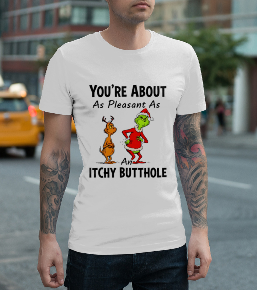 Grinch Santa You're About As Pleasant As An Itchy Butthole T-Shirt