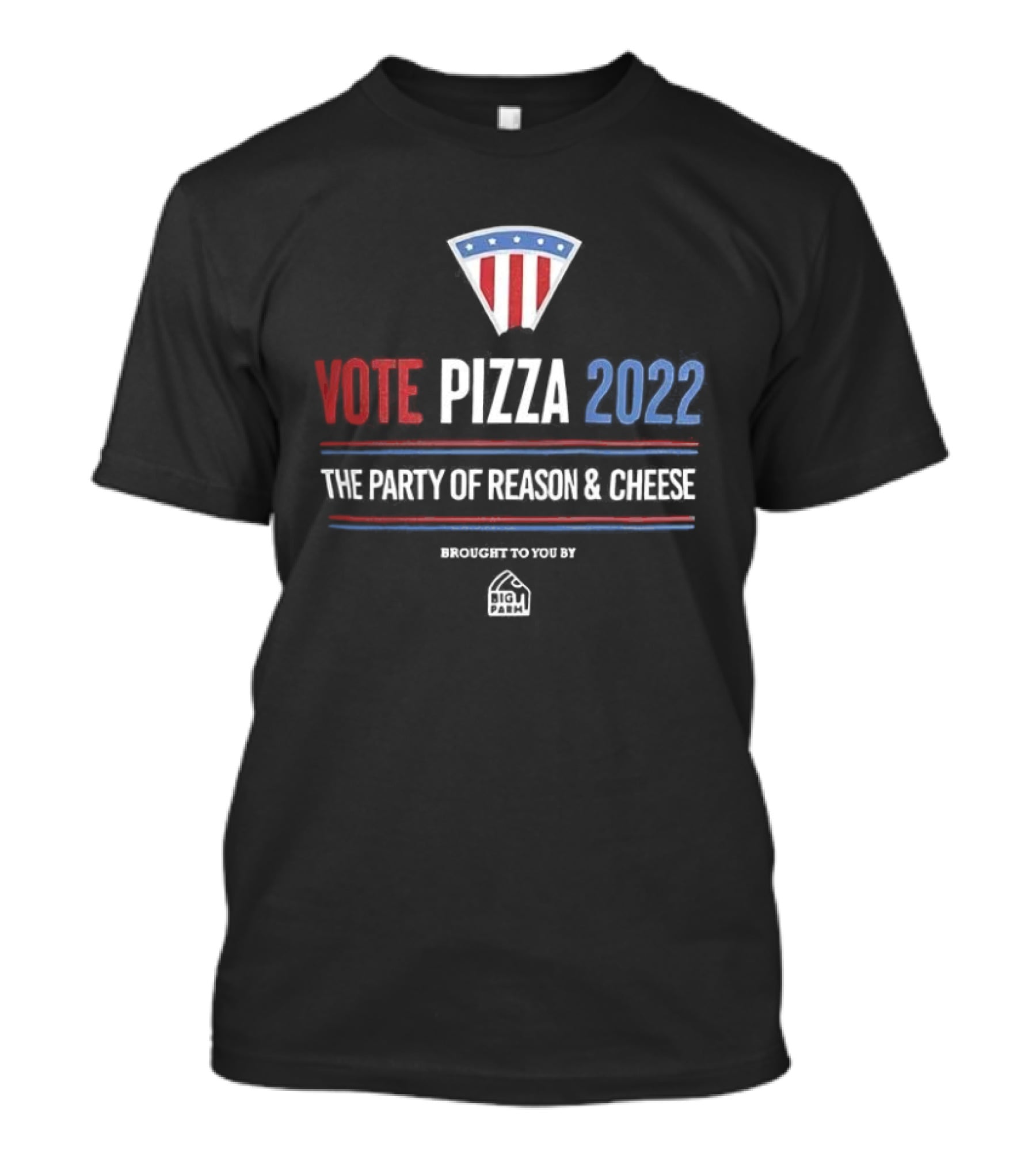 Vote Pizza 2022 The Party Of Reason & Cheese Encouraged To Vote By Pizza T-Shirt
