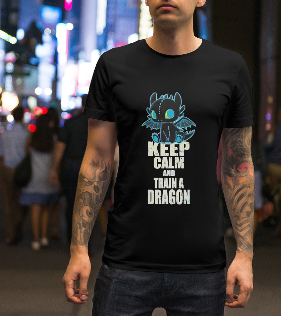 Keep Calm And Train A Dragon Toothless How To Train Your Dragon Cartoon T-Shirt