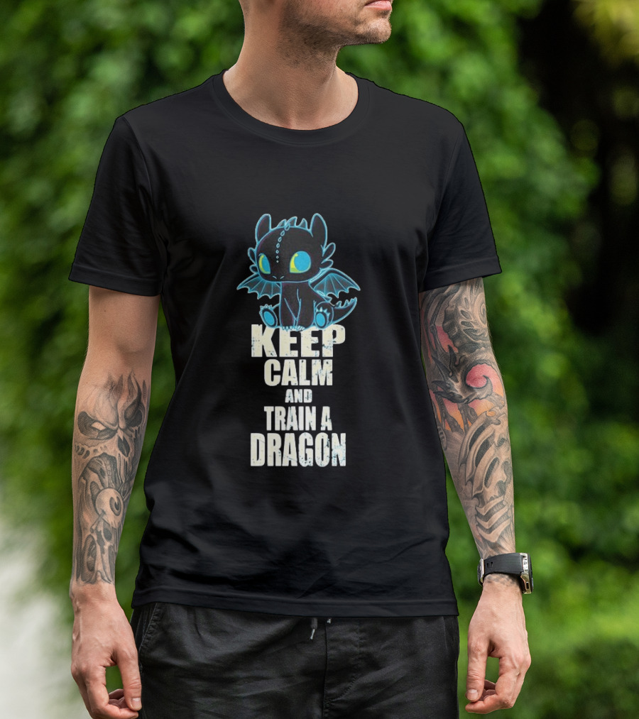 Keep Calm And Train A Dragon Toothless How To Train Your Dragon Cartoon T-Shirt