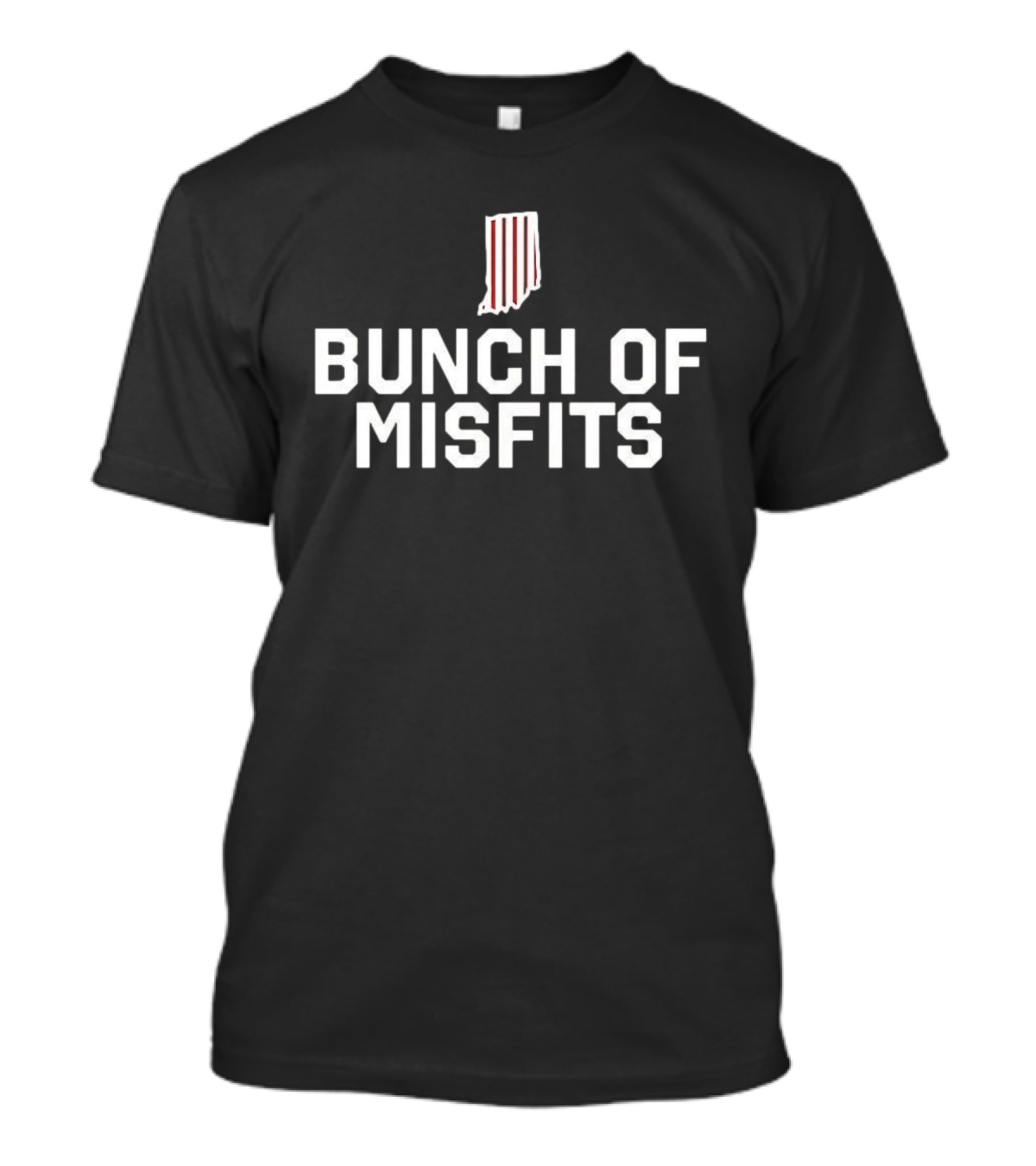 Indiana Hoosiers Bunch Of Misfits Iconic Striped State T-Shirt