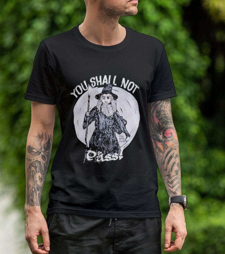 You Shall Not Pass Wizard Gandalf Blocking Pose T-Shirt