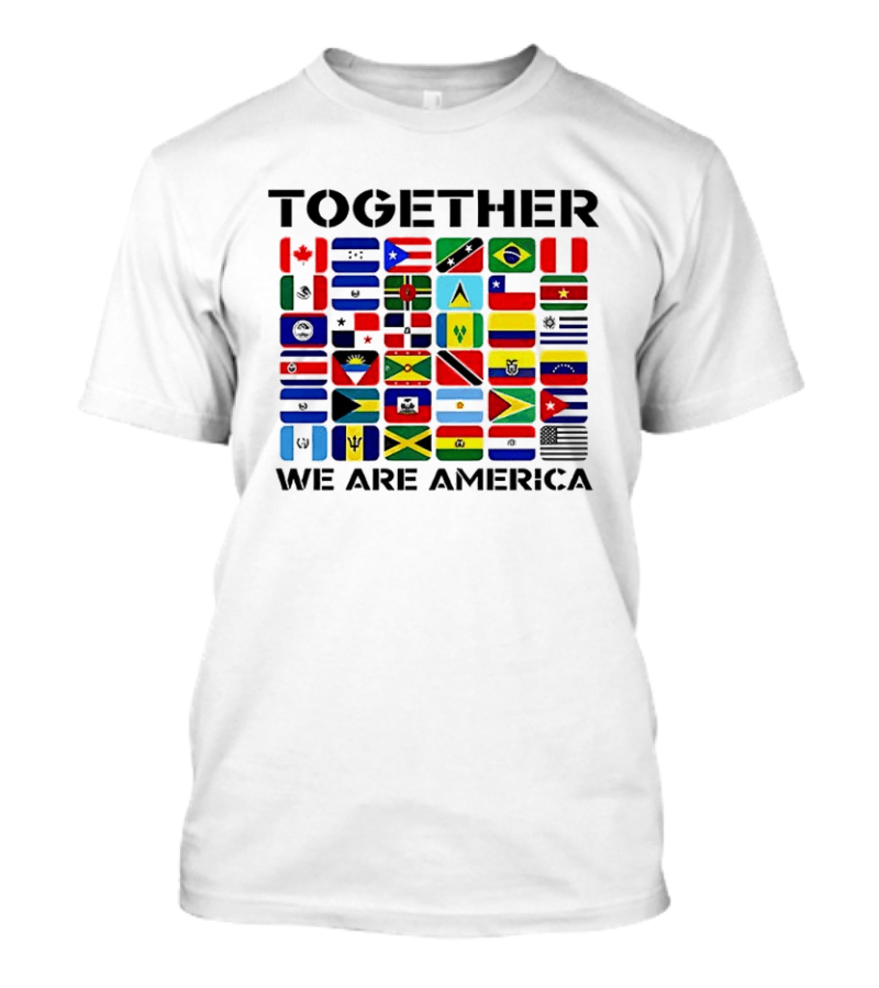 Together We Are America Flags Unity And Diversity T-Shirt
