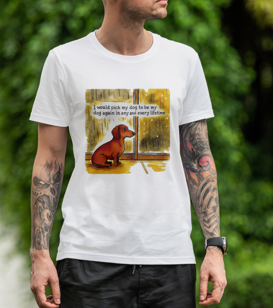 I Would Pick My Dog To Be My Dog Again In Any And Every Lifetime Dachshund By Window T-Shirt