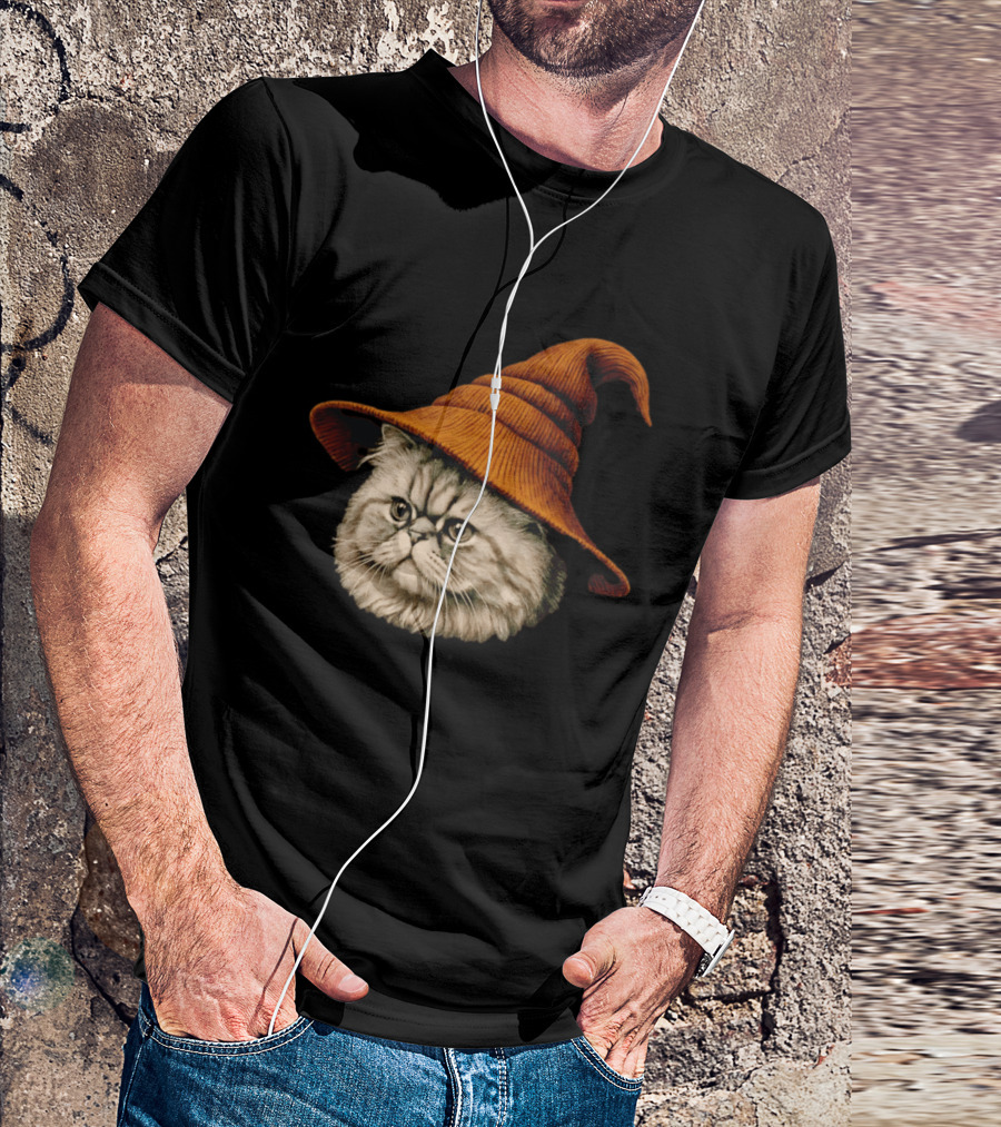 Beanie Cat Wizard Cartoon Plush Orange Hat Feline T-Shirt