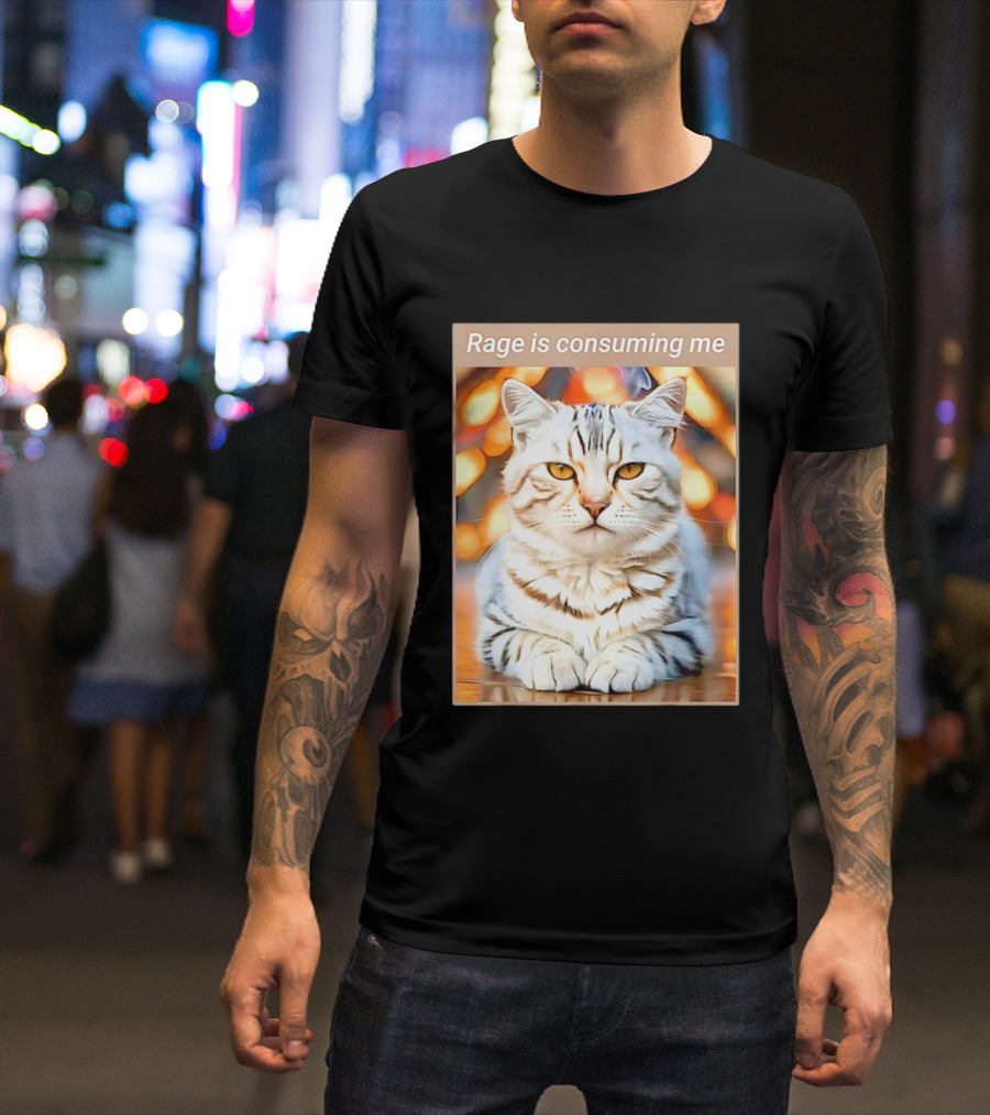 Cat Rage Is Consuming Me Meme Tiger Stripes T-Shirt
