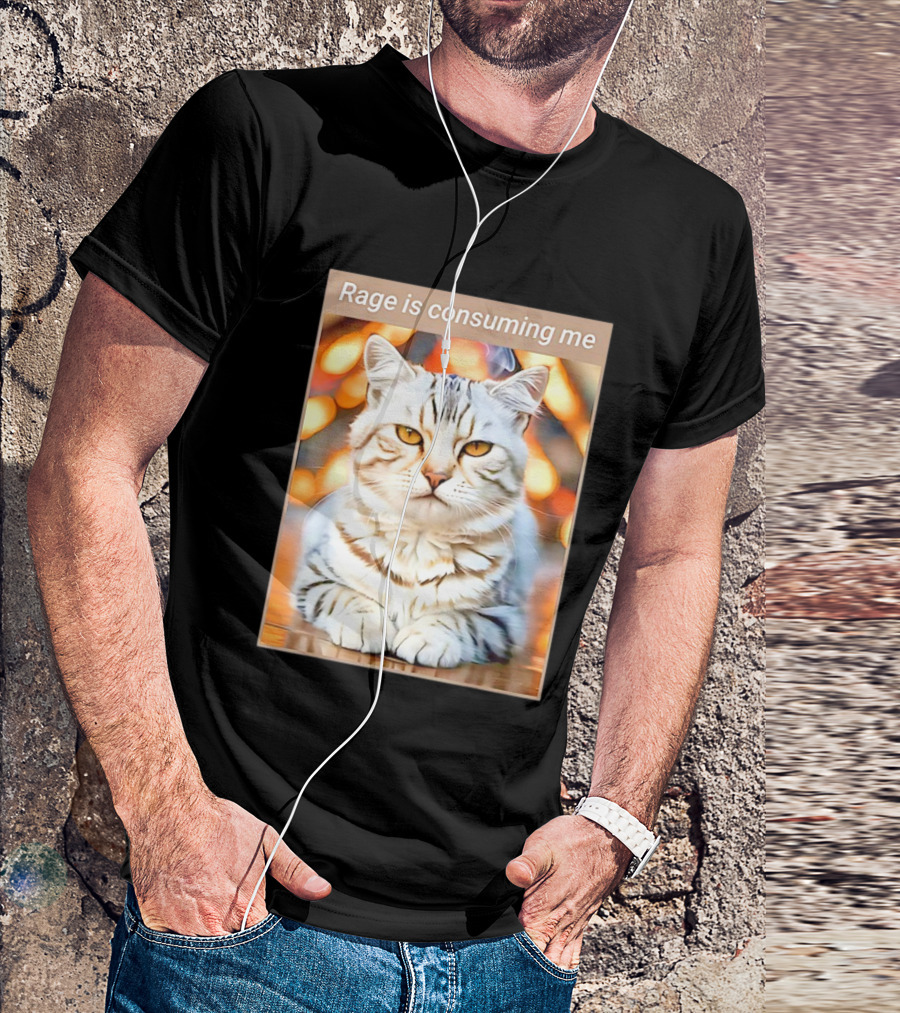 Cat Rage Is Consuming Me Meme Tiger Stripes T-Shirt
