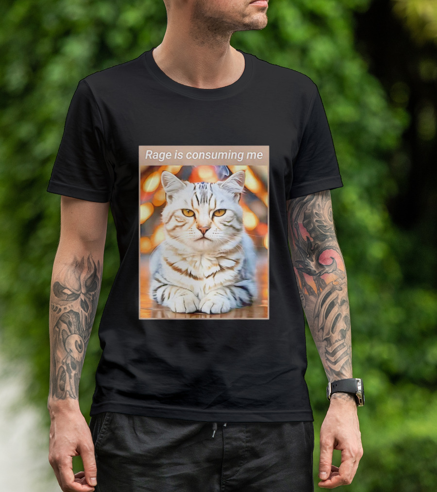 Cat Rage Is Consuming Me Meme Tiger Stripes T-Shirt
