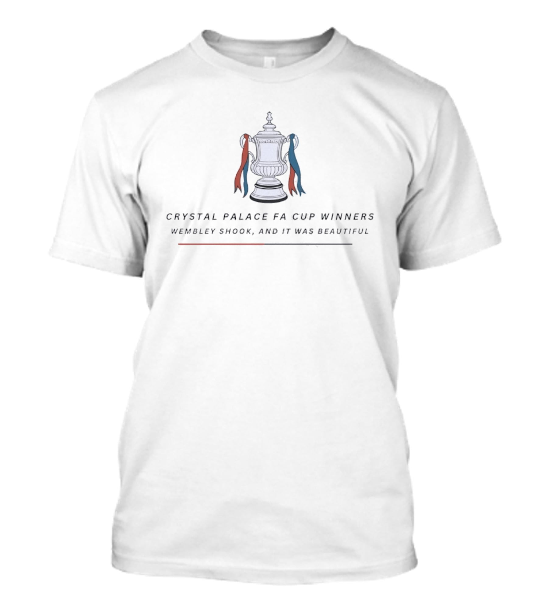 Crystal Palace FA Cup Winners Wembley Shook And It Was Beautiful T-Shirt