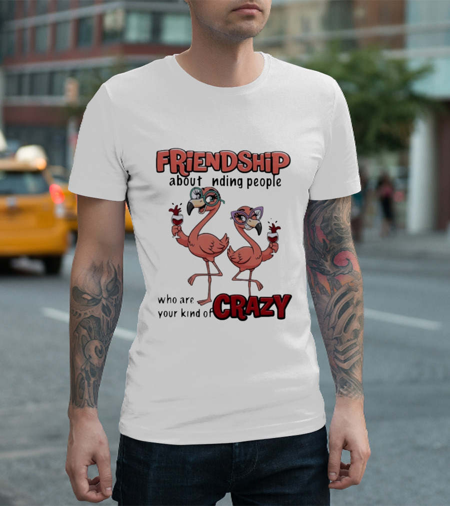FRIENDSHIP About Finding People Who Are Your Kind Of CRAZY Flamingo Humor T-Shirt
