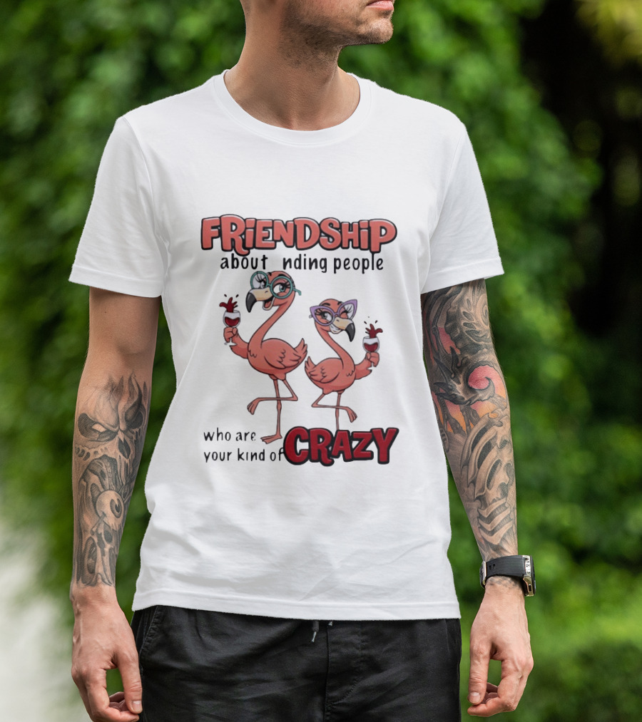 FRIENDSHIP About Finding People Who Are Your Kind Of CRAZY Flamingo Humor T-Shirt